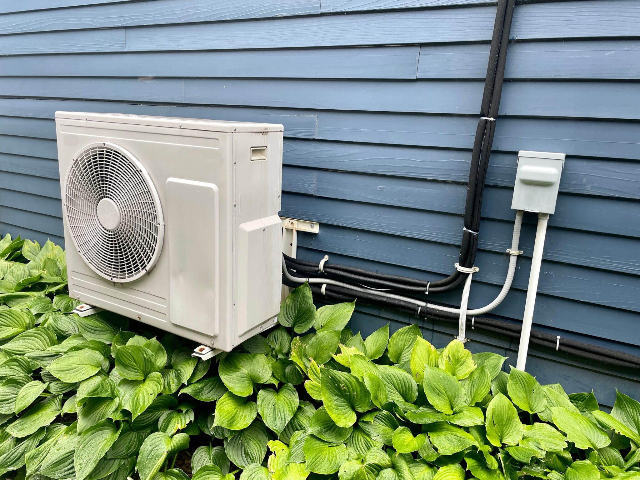 The Role of Heat Pumps in Your Washington Home Alexander's